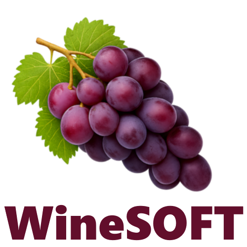 Specjaliści IT WineSOFT